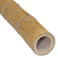 bamboepaal-guadua-7-9-cm3